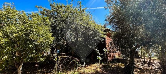 2 Schlafzimmer Haus in Tomar, Portugal, Nr. 28961 20