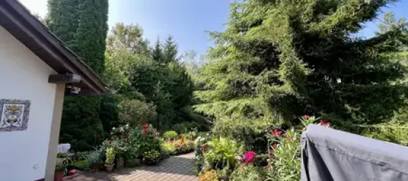 6-salle Maison de ville à Dortmund, Germany No. 66390 2