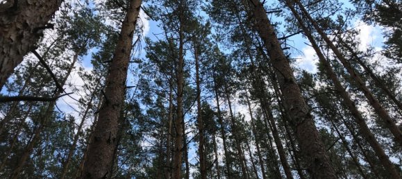 Grundstück in Coburg, Germany, Nr. 367133 4