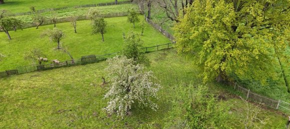 15غرفة مزرعة في Leipzig, Germany رقم 234178 12