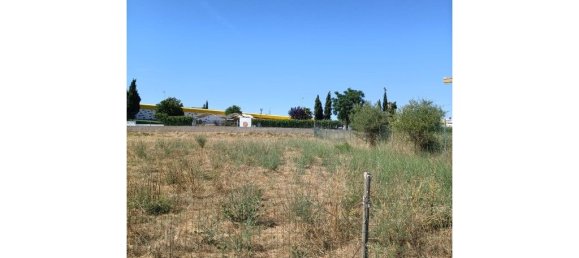 Grundstück in Alter do Chao, Portugal 2400m², Nr. 243125 3