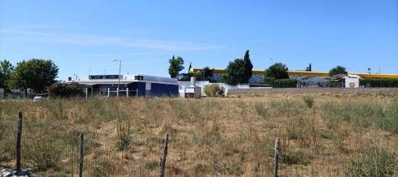 Grundstück in Alter do Chao, Portugal 2400m², Nr. 243125 4