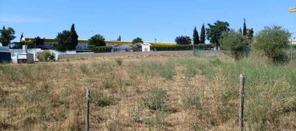 Grundstück in Alter do Chao, Portugal 2400m², Nr. 243125 5