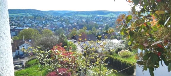 5 غرف نوم تاون هاوس في Odenwaldkreis, Germany رقم 318119 16