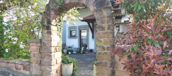 5 غرف نوم تاون هاوس في Odenwaldkreis, Germany رقم 318119 11