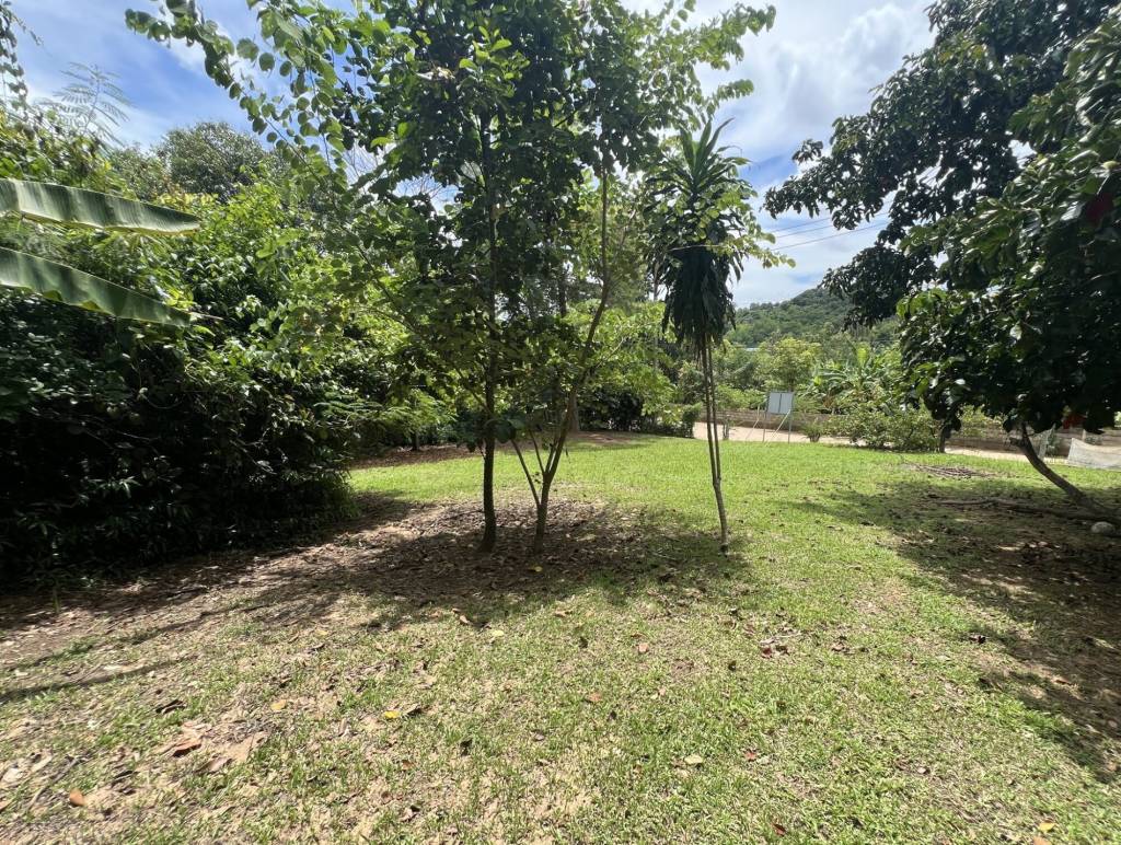 2 chambres Terrain à Chiang Rai, Thailand No. 63333