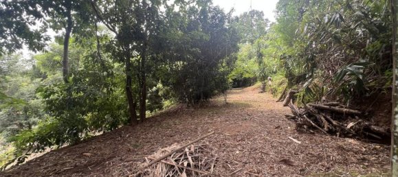 2 chambres Terrain à Chiang Rai, Thailand No. 63333 6