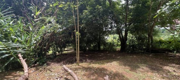 2 chambres Terrain à Chiang Rai, Thailand No. 63333 5