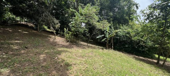 2 chambres Terrain à Chiang Rai, Thailand No. 63333 2