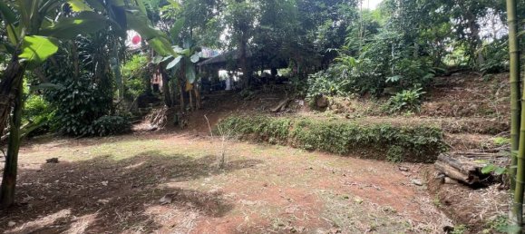 2 chambres Terrain à Chiang Rai, Thailand No. 63333 4