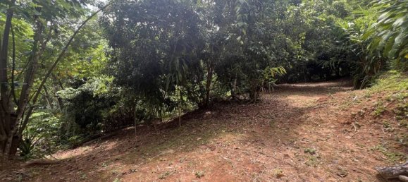 2 chambres Terrain à Chiang Rai, Thailand No. 63333 3