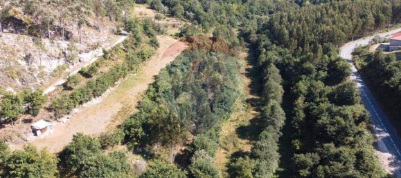 21376m² Land in Rossas, Portugal No. 33726 4