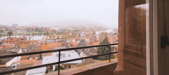 4 bedrooms Apartment in Miltenberg, Germany No. 73832 14