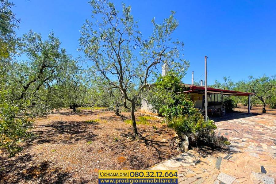 Terrain à Giovinazzo, Italy 6150m² No. 87193