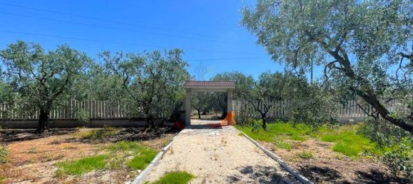 Terrain à Giovinazzo, Italy 6150m² No. 87193 3