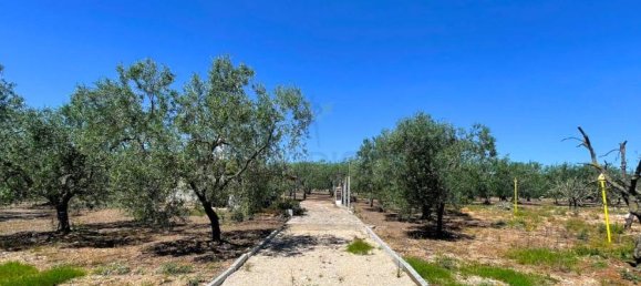 Terrain à Giovinazzo, Italy 6150m² No. 87193 2