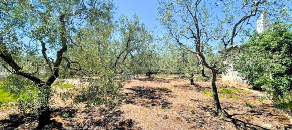 Terrain à Giovinazzo, Italy 6150m² No. 87193 18