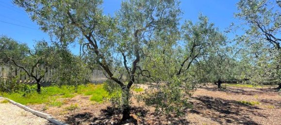 Terrain à Giovinazzo, Italy 6150m² No. 87193 4