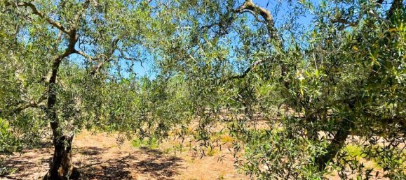 Terrain à Giovinazzo, Italy 6150m² No. 87193 21