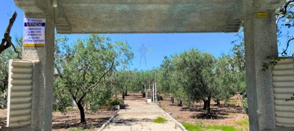 Terrain à Giovinazzo, Italy 6150m² No. 87193 6