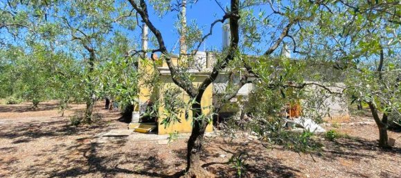 Terrain à Giovinazzo, Italy 6150m² No. 87193 17