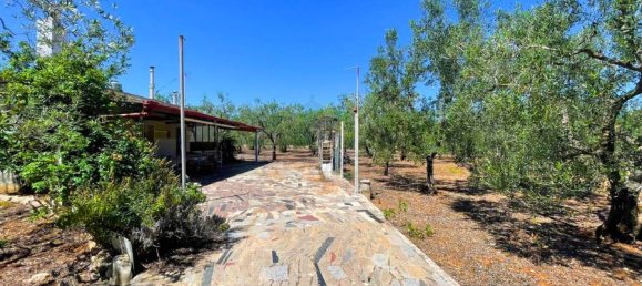 Terrain à Giovinazzo, Italy 6150m² No. 87193 5