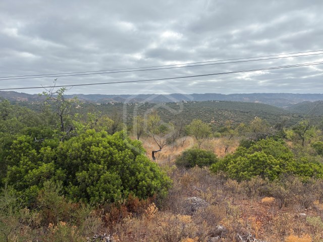 Земельный участок в Салир, Португалия № 242248
