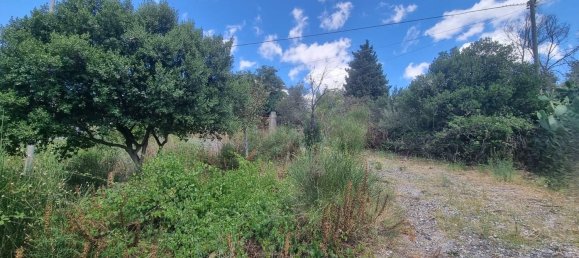 4-salle Maison à Polizzi Generosa, Italy No. 306678 34