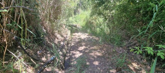 4-salle Maison à Polizzi Generosa, Italy No. 306678 37