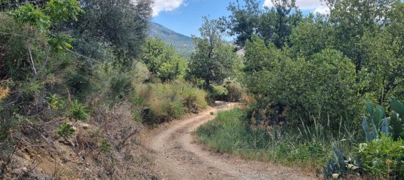 4-salle Maison à Polizzi Generosa, Italy No. 306678 20