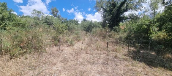 4-salle Maison à Polizzi Generosa, Italy No. 306678 31