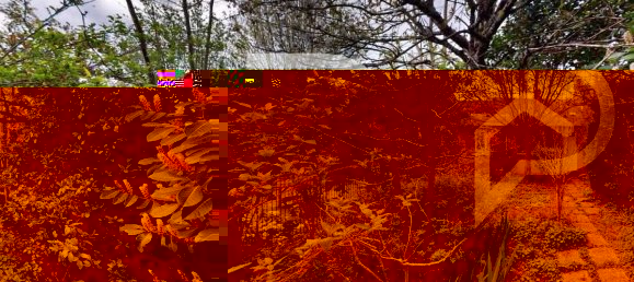 4 bedrooms House in Chateauroux, France No. 71274 15