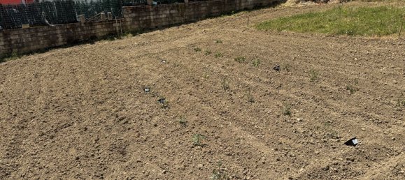  Land in Cerchio, Italy No. 379085 3