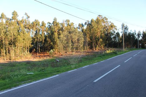 Terrain à Quiaios, Portugal 5604m² No. 92014