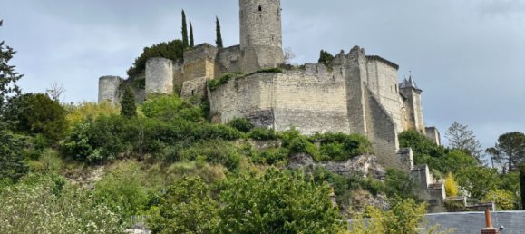 6-Zimmer Haus in Chinon, France, Nr. 59290 10