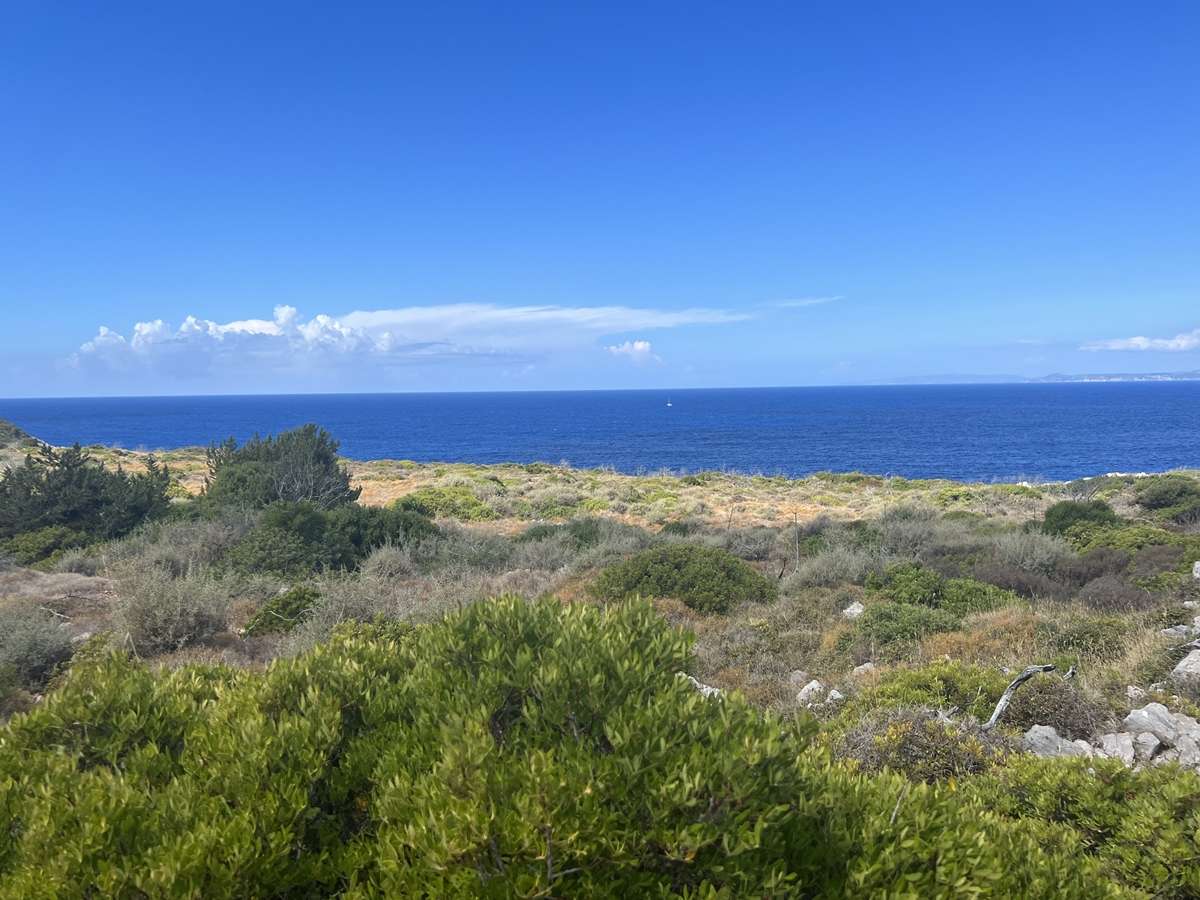 Grundstück in Zakynthos, Greece, Nr. 8530