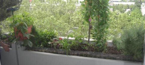 3-Zimmer Wohnung in München, Germany, Nr. 218045 7