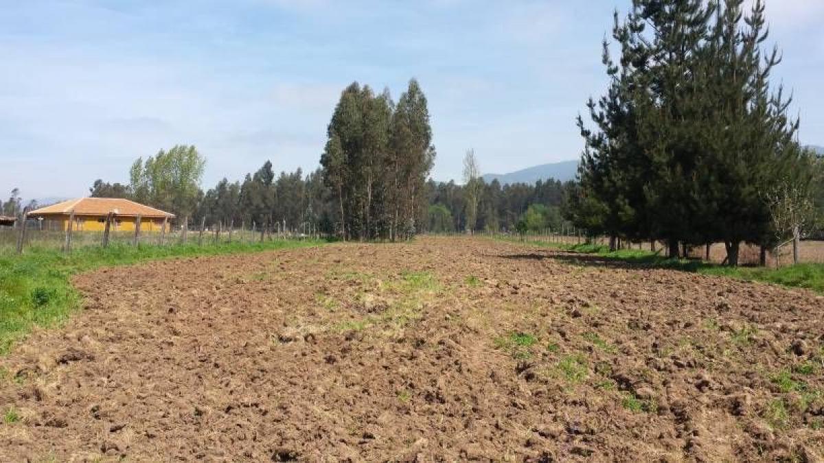  Land in Maule, Chile No. 750