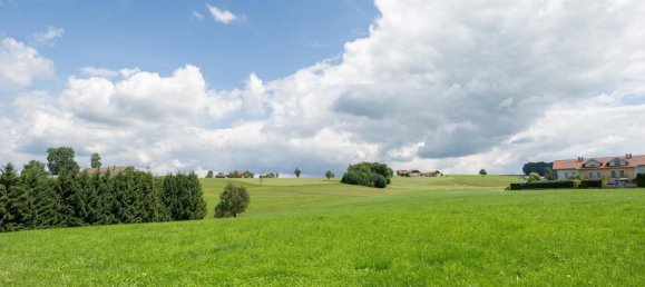 6-Zimmer Villa in Straßwalchen, Austria, Nr. 255702 11