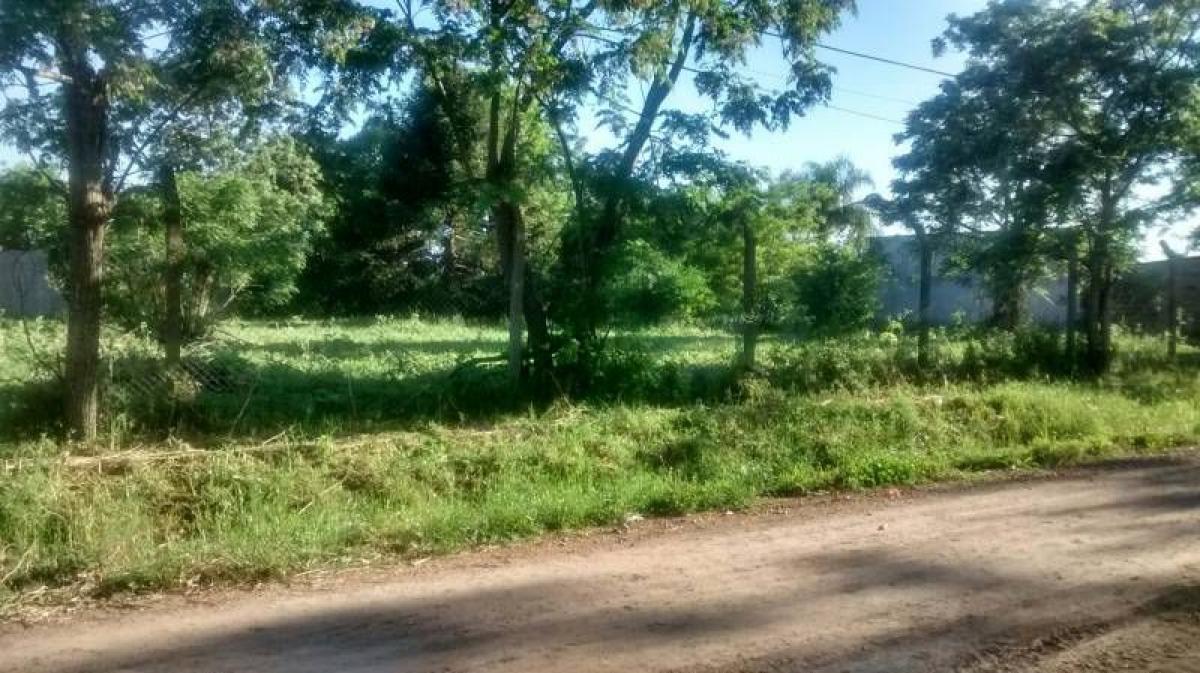  Land in Lobos, Argentina No. 43126