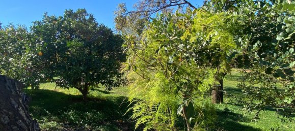 7 bedrooms House in Alhaurin de la Torre, Spain No. 60025 37