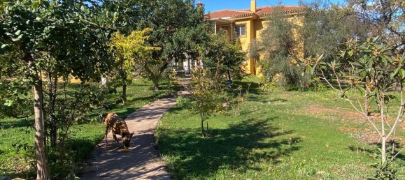 7 bedrooms House in Alhaurin de la Torre, Spain No. 60025 38