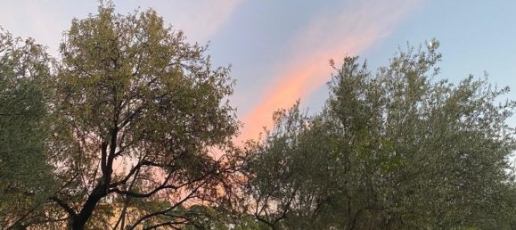 7 bedrooms House in Alhaurin de la Torre, Spain No. 60025 15