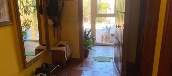 7 bedrooms House in Alhaurin de la Torre, Spain No. 60025 48