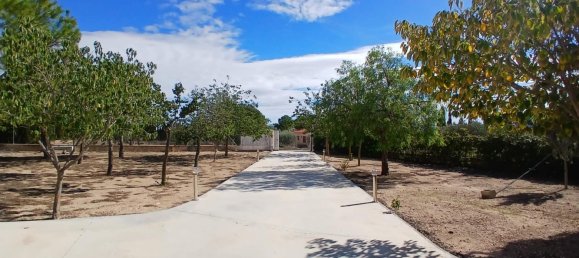 5 bedrooms Villa in Yecla, Spain No. 94859 5