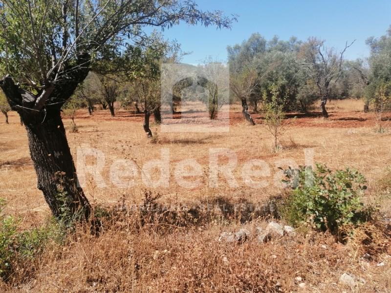 17600m² Land in Salir, Portugal No. 302451