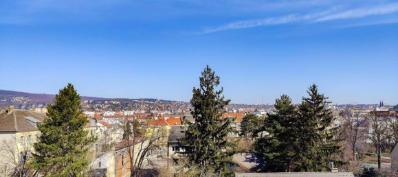 7غرفة بانتهاوس في Hietzing, Austria رقم 188475 47