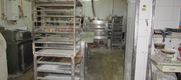 9 Schlafzimmer Gewerbliche Immobilie in Canelas, Portugal, Nr. 47819 20