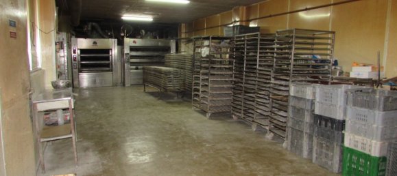 9 Schlafzimmer Gewerbliche Immobilie in Canelas, Portugal, Nr. 47819 12