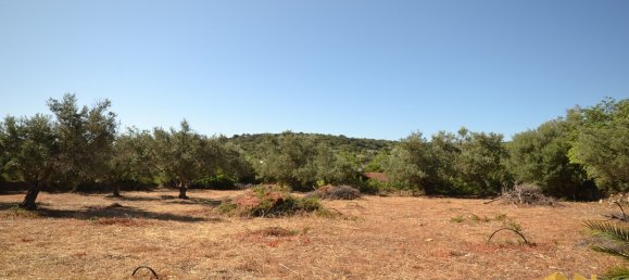  Land in Loule, Portugal No. 198388 11